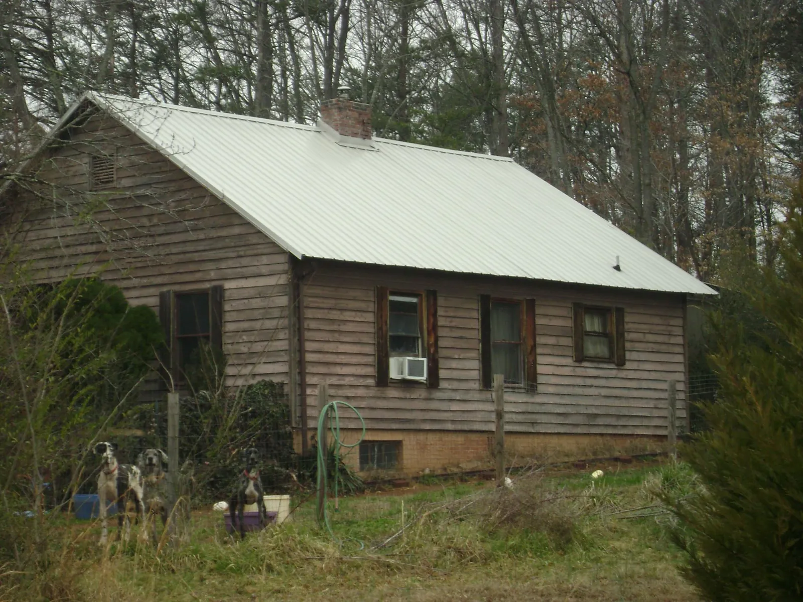 White metal roof on an old wood sided farmhouse, from a Asphalt Shingle Roof Repair job in Nunnelly